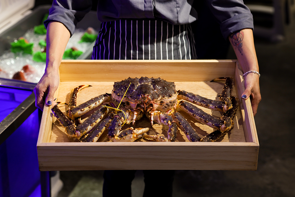 餐廳內共養殖超過 50 隻帝王蟹與松葉蟹，內湖美食「澎湃海鮮餐廳」要讓大家吃到最新鮮的美味。