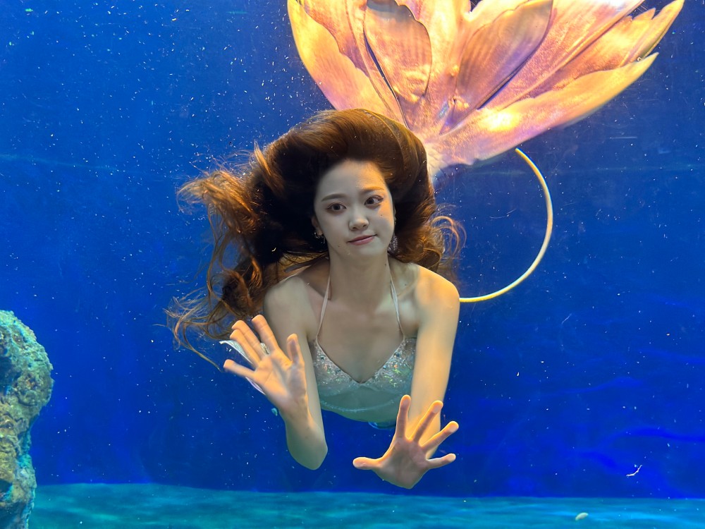 花蓮遠雄海洋公園「美人魚實境秀」是園區人氣節目，有全台唯一「人魚王子」