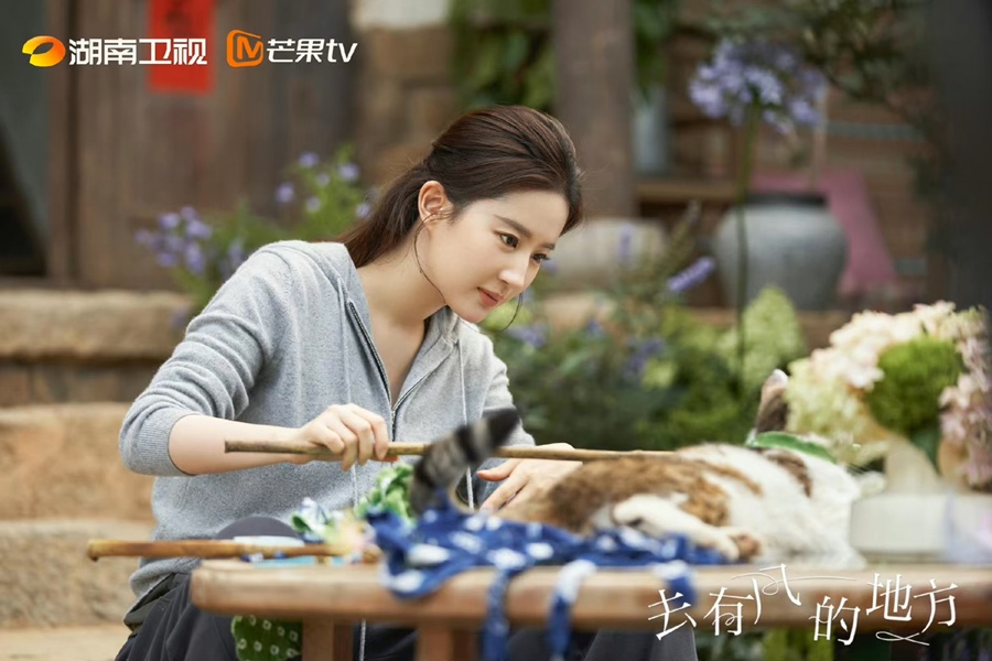 《去有風的地方》導演答應愛動物的劉亦菲，邊拍戲還能逗狗玩貓。
