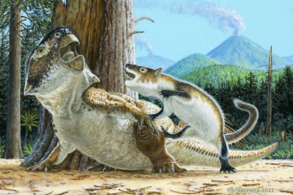 這隻像似獾的哺乳動物正在捕食恐龍