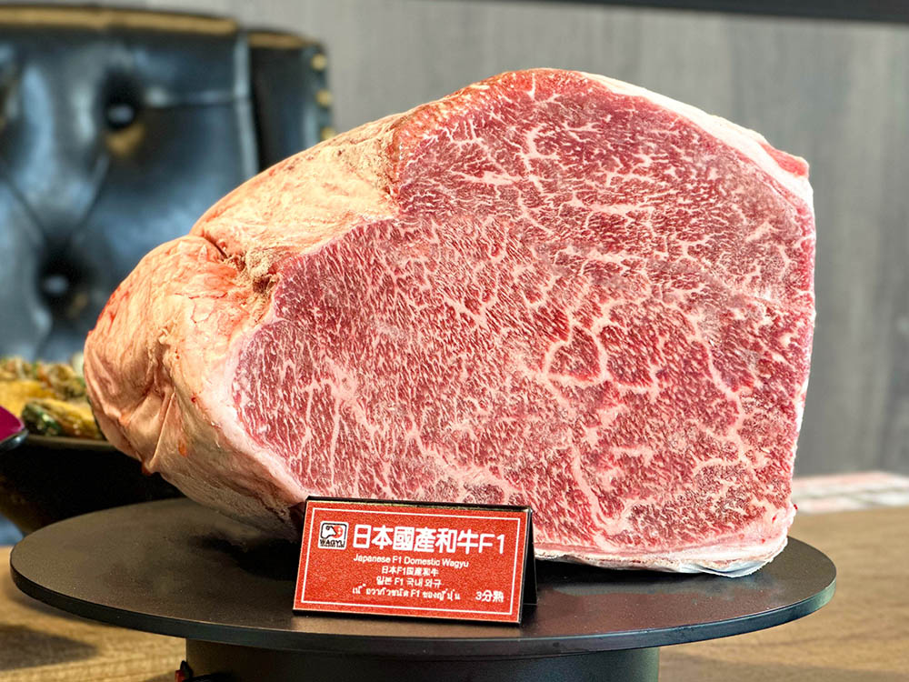馬辣集團旗下子品牌「新馬辣經典麻辣鍋 Plus+」推出全台 4 家門市限定的「日本 F1 國產和牛吃到飽」