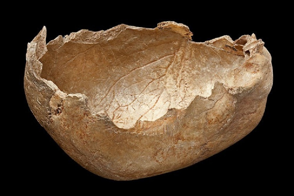 馬格德林文化遺址發現由頭骨製成的杯子