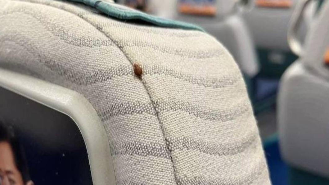 網上流傳香港機場快線座位發現床蝨的照片。