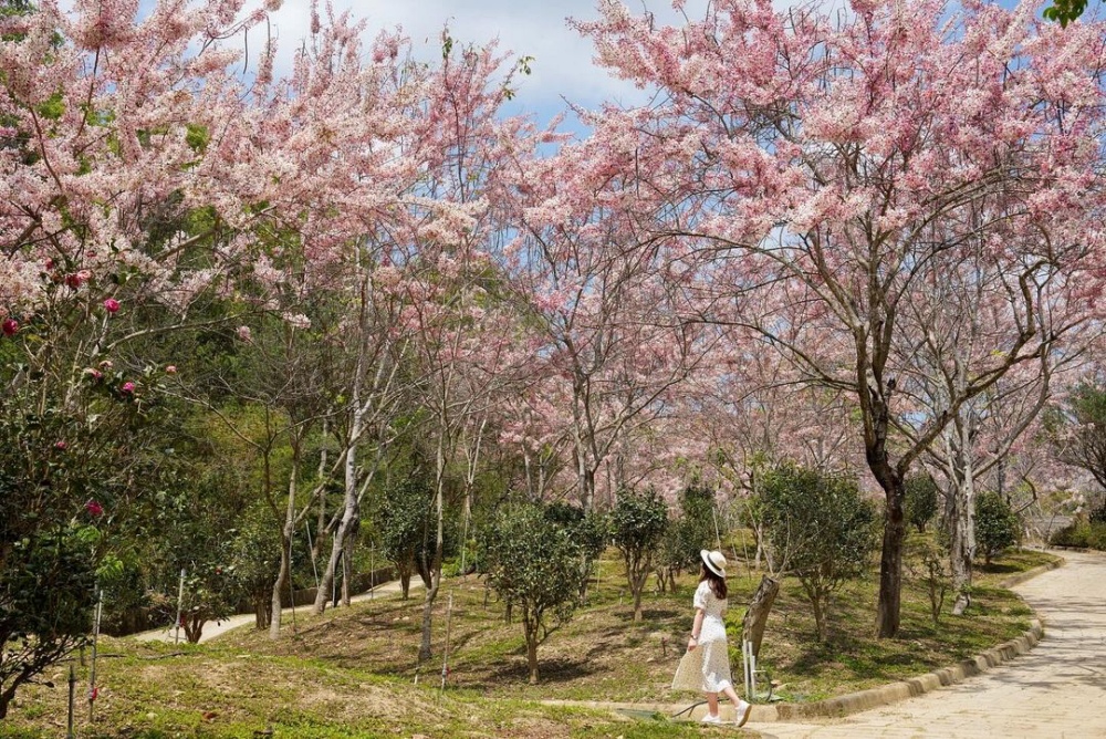 天台山維多莉亞公園